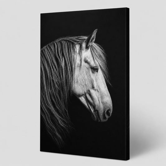 Black and White Horse Animal Canvas Painting Wall Decor - canvas wall art by AUSJOJO