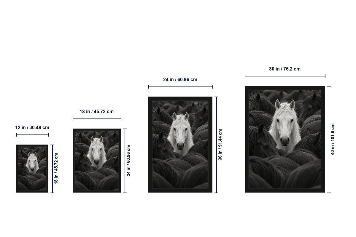 White Horse in Dark Herd Black and White Canvas Wall Art size comparison guide