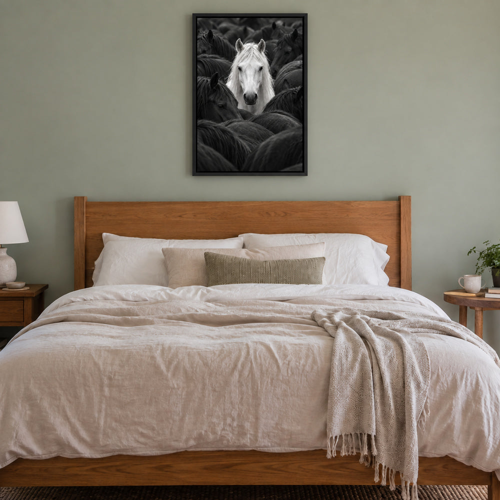 white horse centered in a dark herd black-and-white photograph in black frame room scene