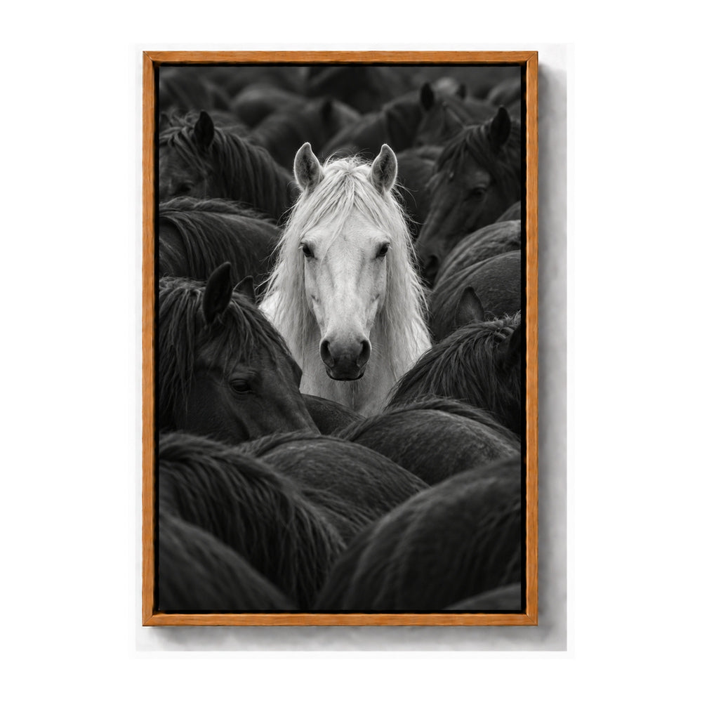 white horse centered in a dark herd black-and-white photograph brown frame canvas print