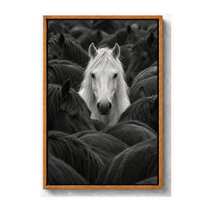 white horse centered in a dark herd black-and-white photograph brown frame canvas print