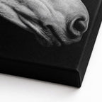 Black and White Horse Canvas Wall Art canvas texture detail