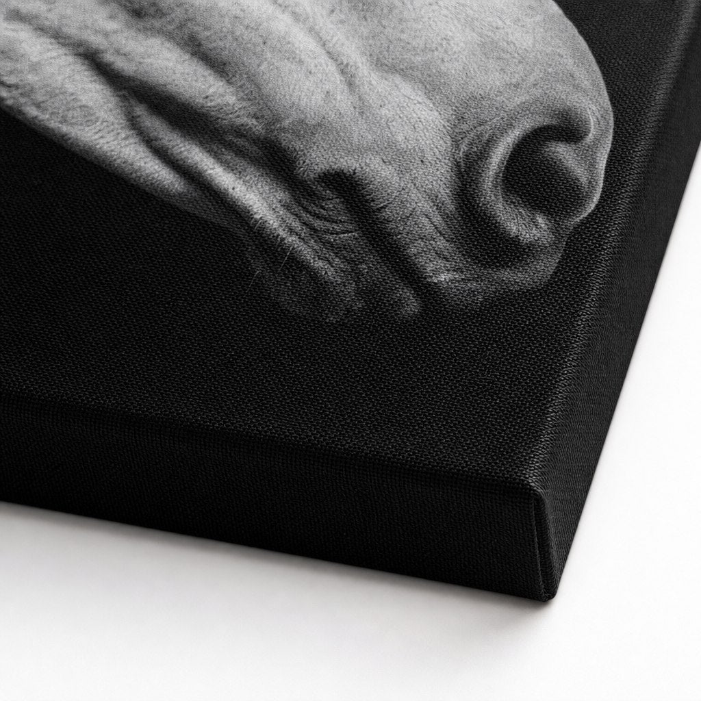 Black and White Horse Canvas Wall Art canvas texture detail