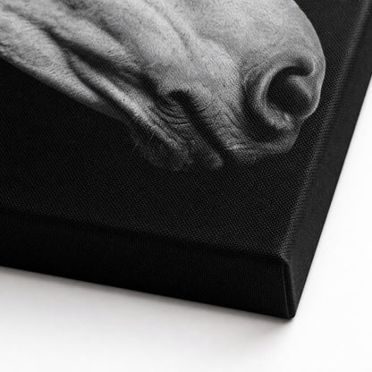 Black and White Horse Canvas Wall Art canvas texture detail