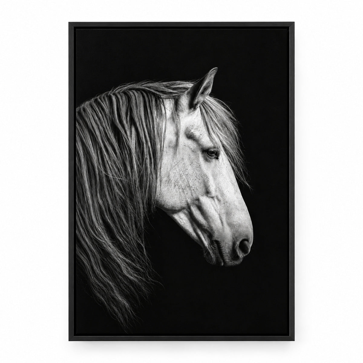 Black and White Horse Animal Canvas Painting Wall Decor | black_sku