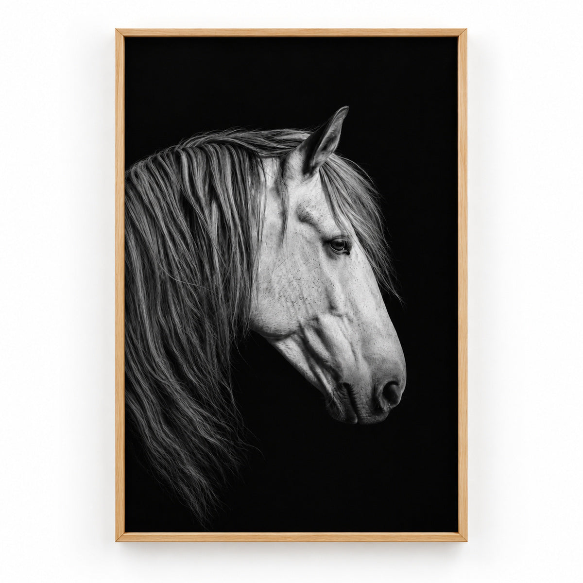 Black and White Horse Animal Canvas Painting Wall Decor | brown_sku