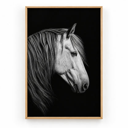 Black and White Horse Animal Canvas Painting Wall Decor | brown_sku