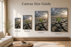 Seedling Through Cracked Stone Canvas Wall Art - 08_size_comparison