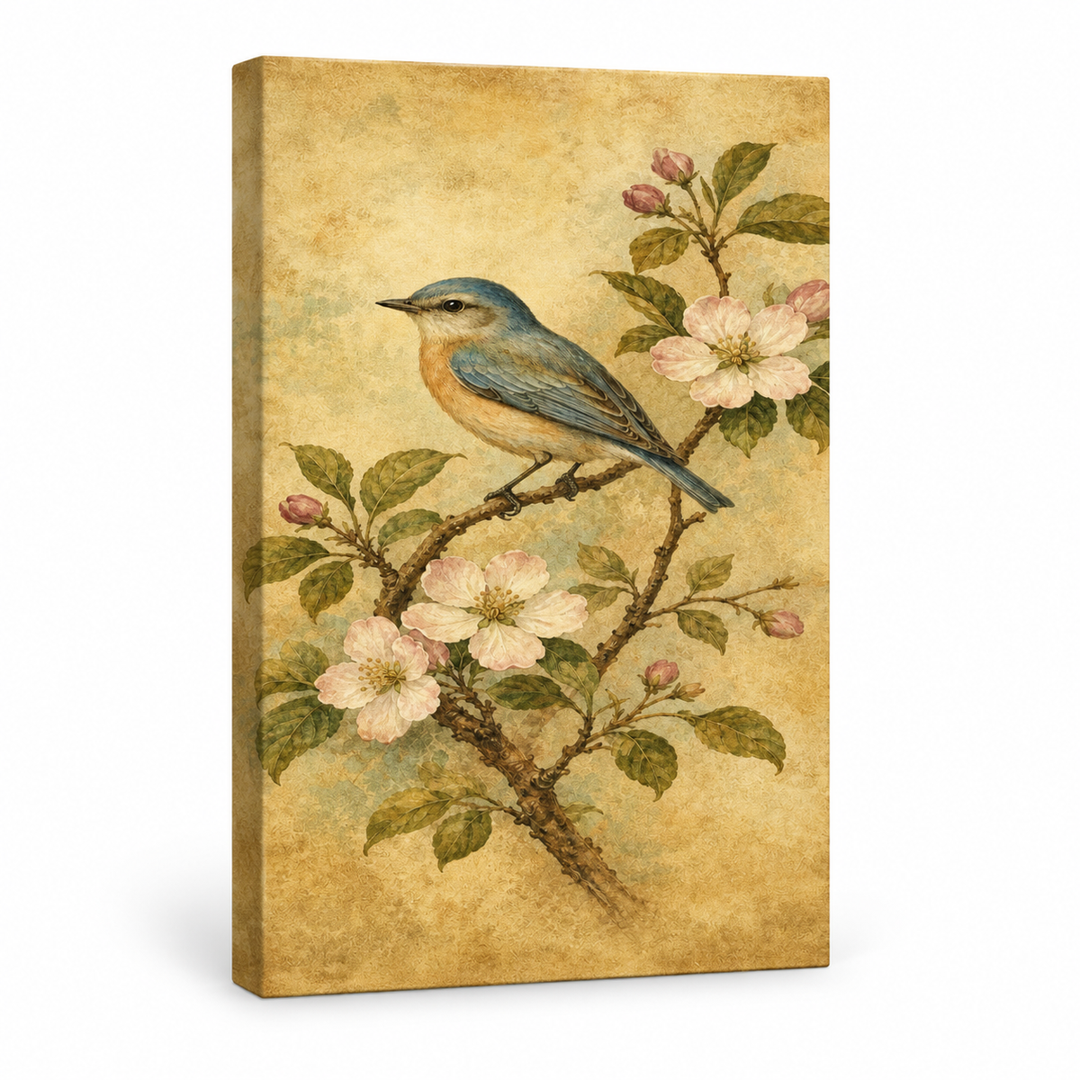 Vintage Botanical Bird Floater Frame Canvas Wall Art | frameless stretched canvas SKU