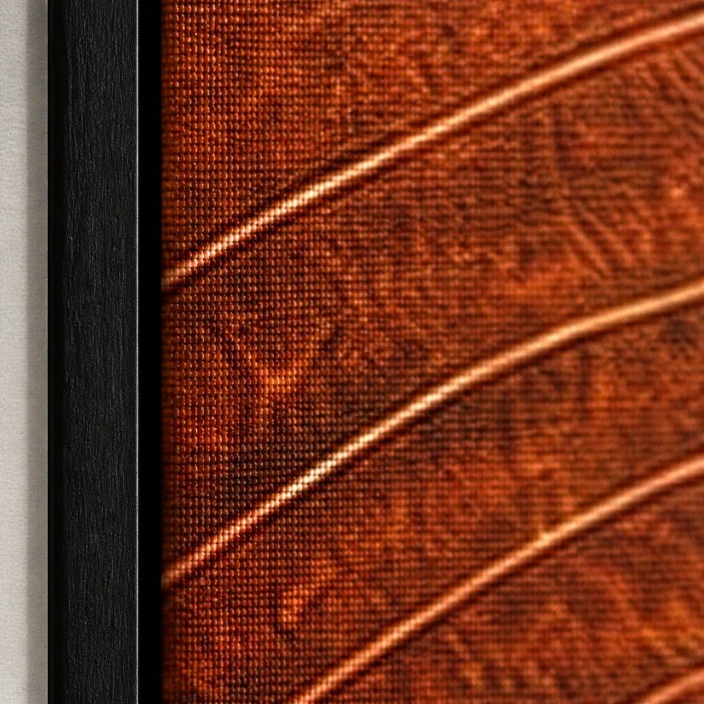 Terracotta Tree Ring Geometry Floating Frame Wall Art - 03