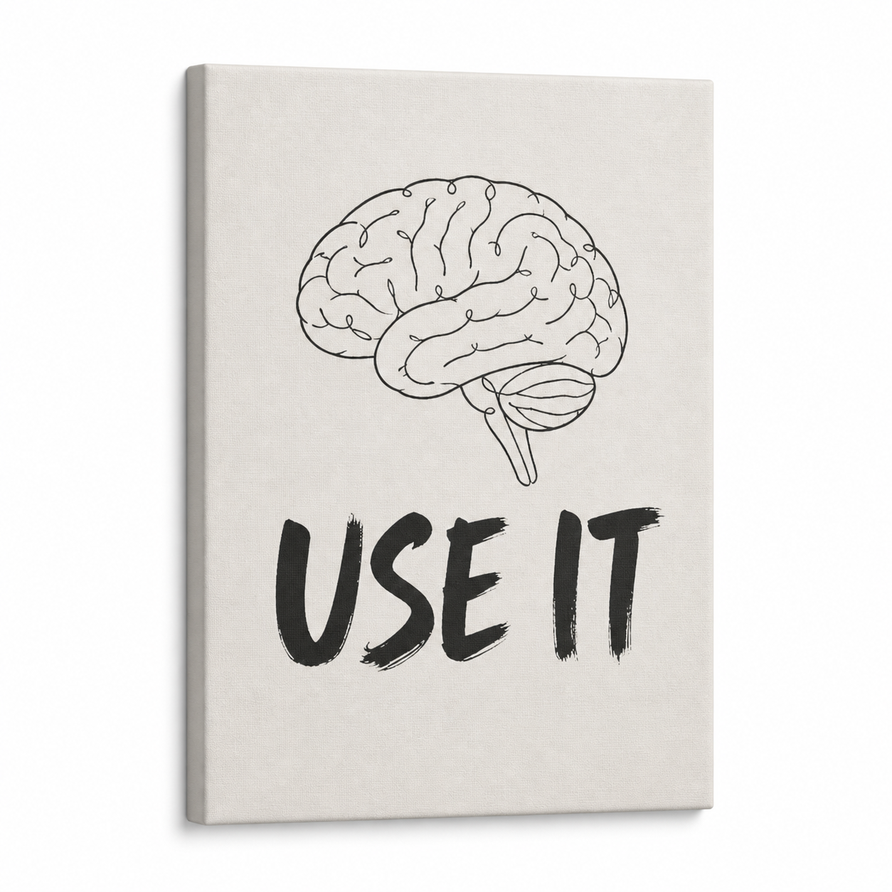 Use It Brain Line Art Floater Frame Canvas Wall Art | Stretched Canvas SKU
