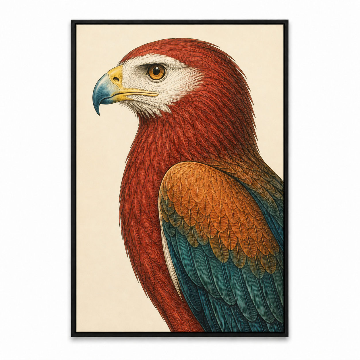 vintage-red-raptor-portrait-wall-art | black-frame-sku