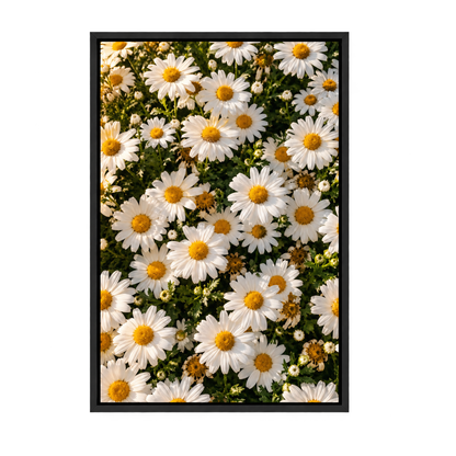Sunlit White Daisy Carpet — Black Frame finish product view | AUSJOJO