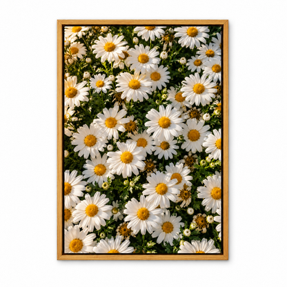 Sunlit White Daisy Carpet — Brown Frame finish product view | AUSJOJO
