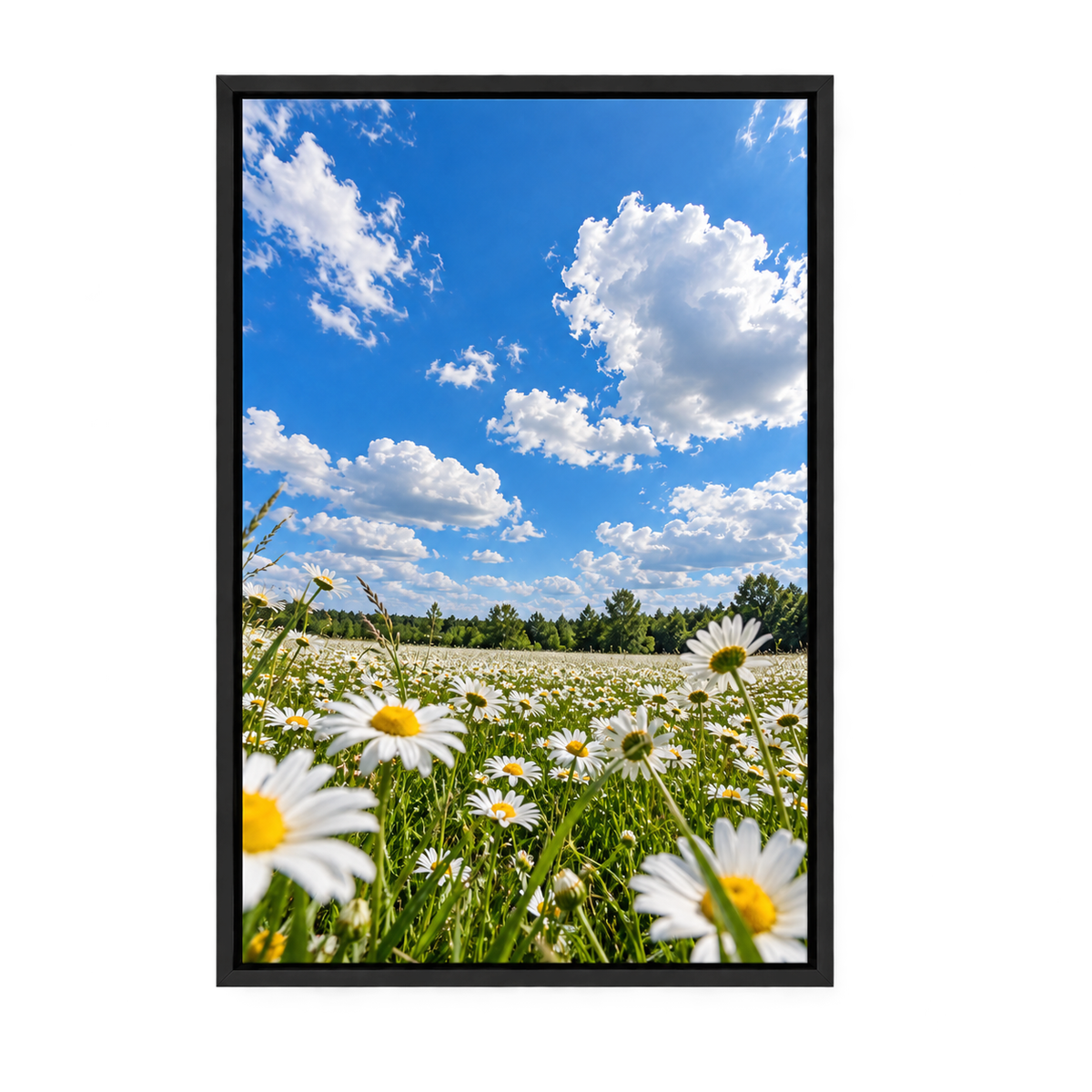 Blue Sky Daisy Meadow — Black Frame finish product view | AUSJOJO