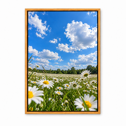 Blue Sky Daisy Meadow — Brown Frame finish product view | AUSJOJO