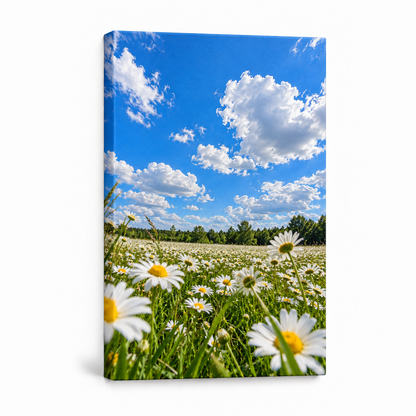 Blue Sky Daisy Meadow — Stretched Canvas product view | AUSJOJO