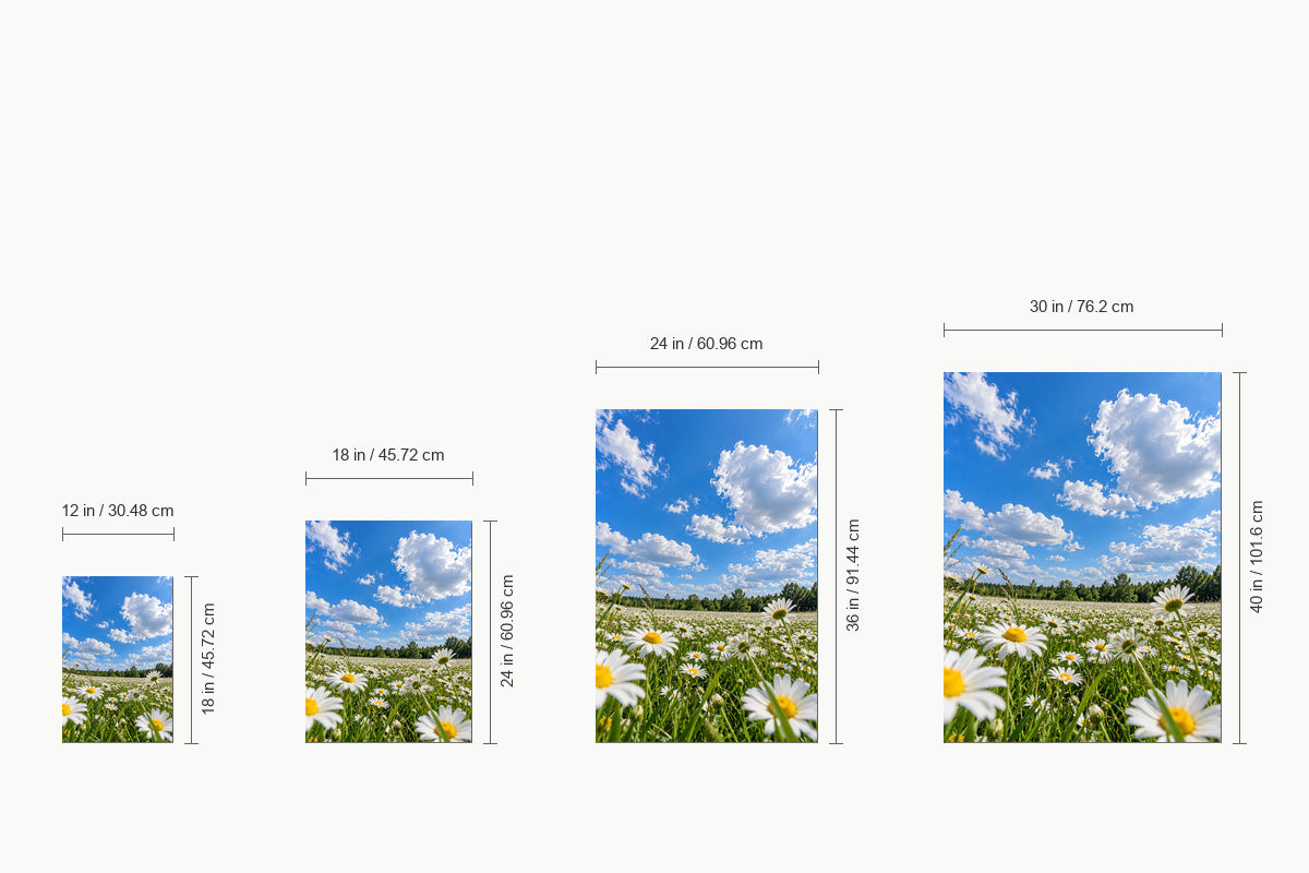 Blue Sky Daisy Meadow — size comparison guide | AUSJOJO