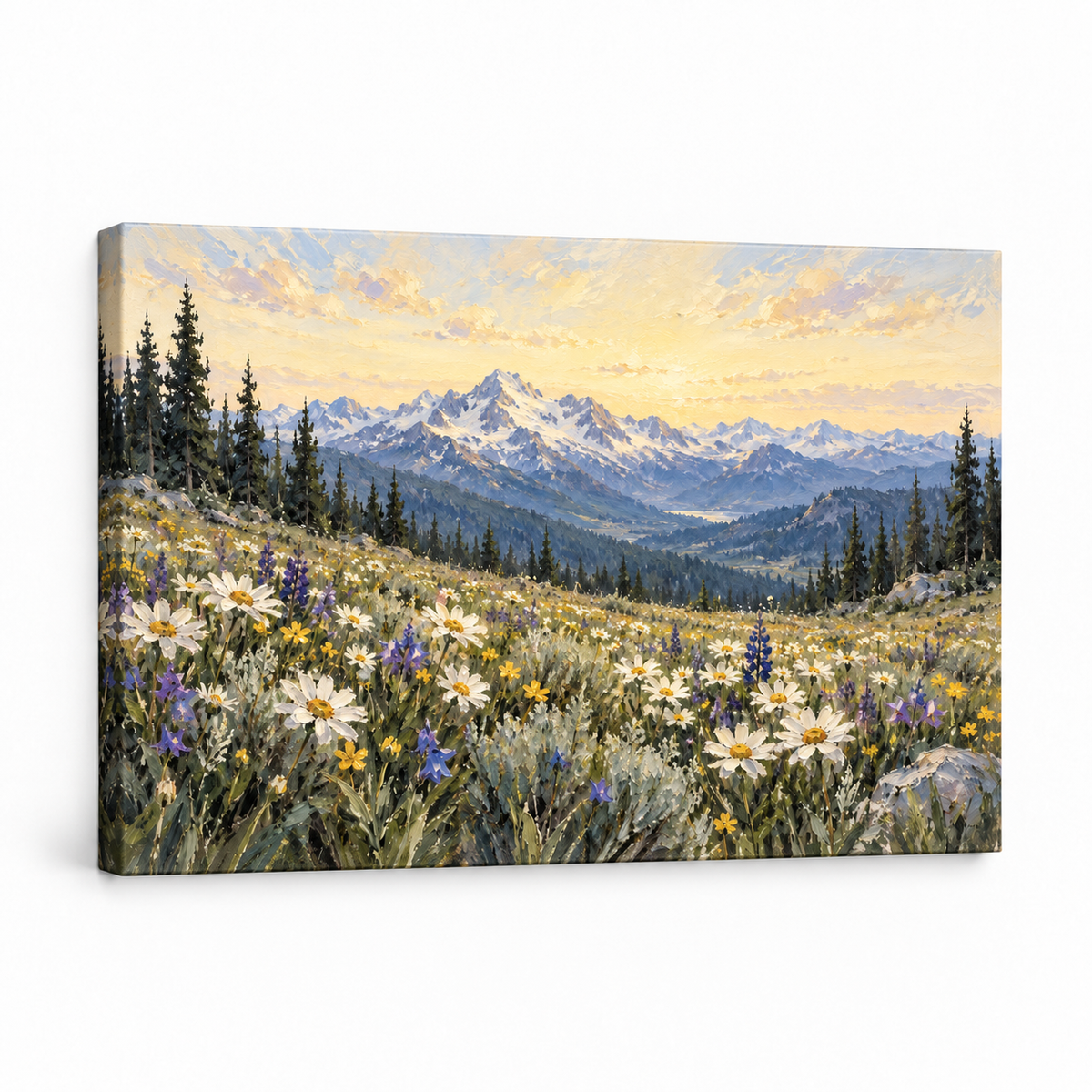 Alpine White Wildflower Meadow — Stretched Canvas product view | AUSJOJO