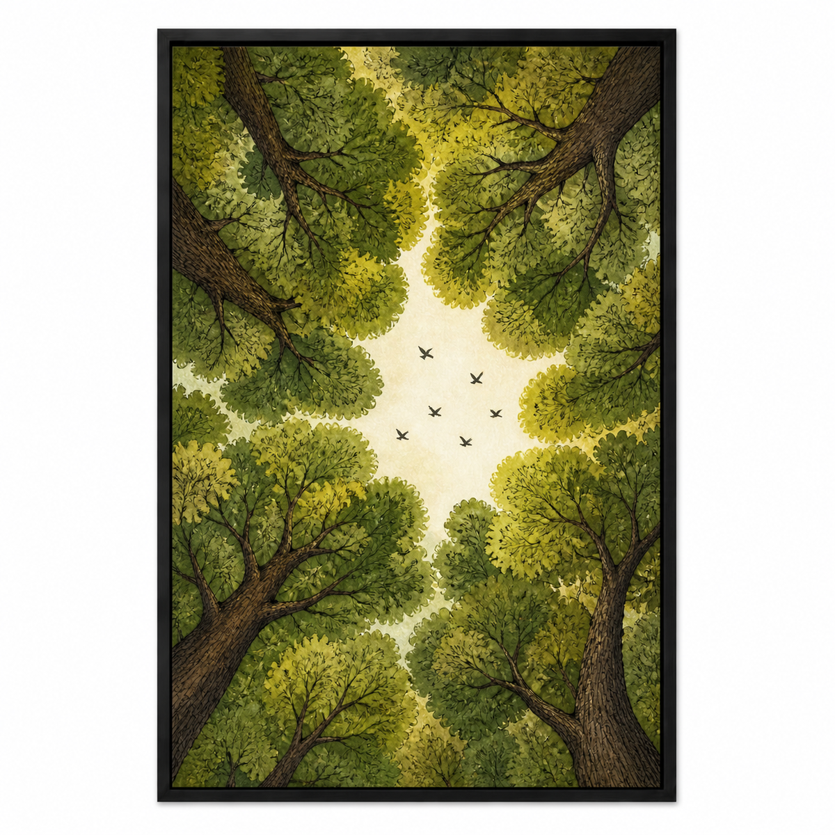 Forest Canopy Birds Floating Frame Wall Art - Black Frame white background SKU